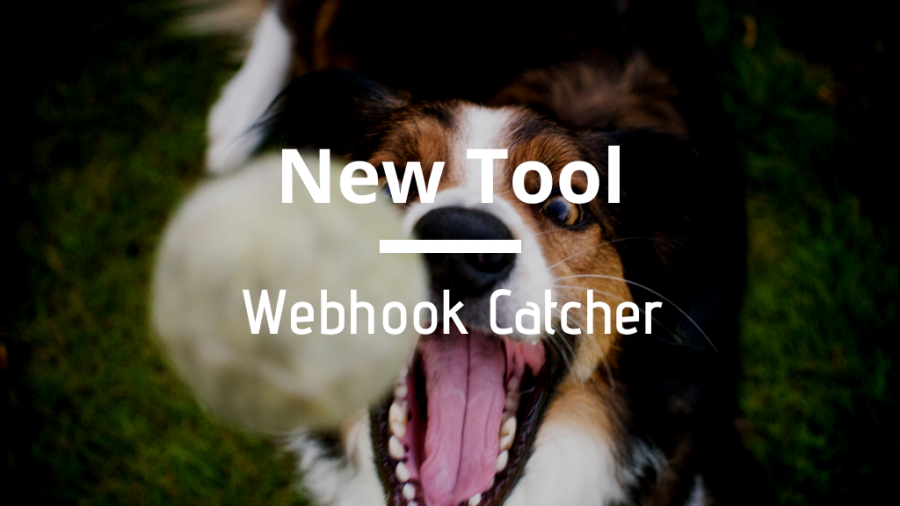 WebhookCatcher Blog Cover